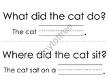 CVC Word Family Stories Plus Comprehension (page), picture 4